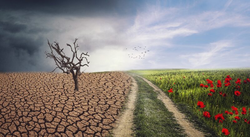 Klimawandel - Landschaftswandel